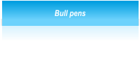 Bull pens